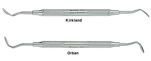 S0704064.JPG
