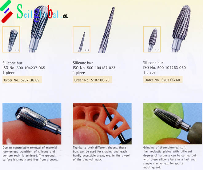 dentu-2.jpg