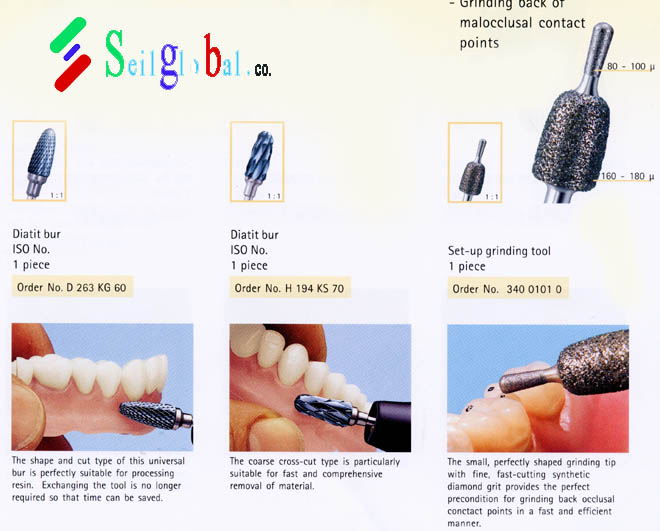 dentu-3.jpg
