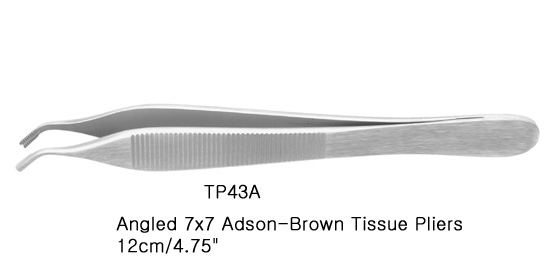 TP43A-0.JPG