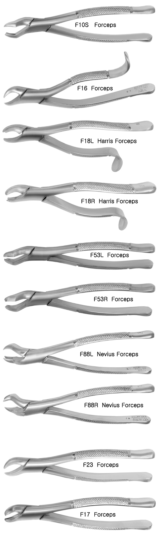 f10S-00.jpg