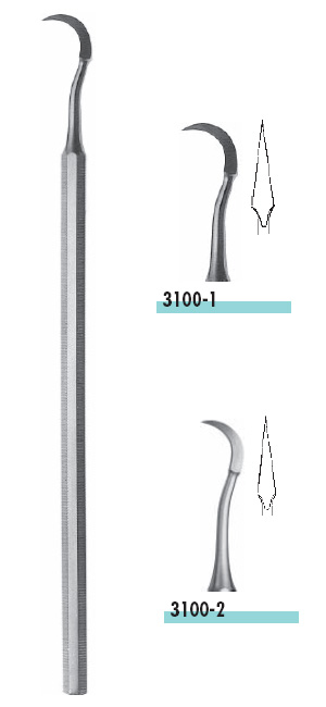 3100-0.JPG